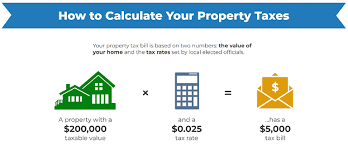 property tax solutions for texas seniors