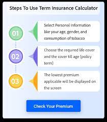 https://www.policybazaar.com/life-insurance/term-insurance-calculator/ gambar png