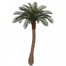 8 Foot Artificial Outdoor Cycas Palm