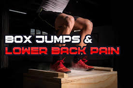 lower back hurts after box jumps