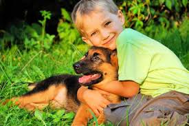 Image result for Picture of a young boy with his dog