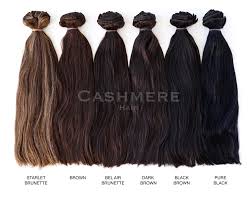 Hair Extension Color Chart Cashmere Hair Clip In Extensions