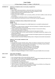 It allows you to highlight your experience and work history in chronological order. Project Manager Coordinator Resume Samples Velvet Jobs