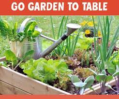 Get Garden To Table Benefits It S Not