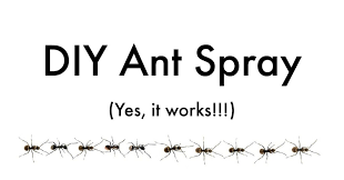 diy ant spray safe for pets get green