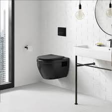 Wall Mounted Toilets Bath The