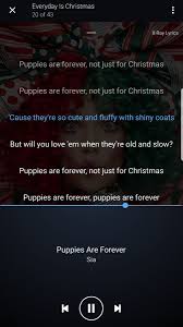 Oh how much, oh how much for the puppy in the window i can see him being solo i believe he sees a friend to me oh how. Gerard Way Fun On Twitter Mikey Way Vs Me Puppiesareforever
