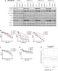 The cas direct access web console is primarily used to download cas support logs or r configure pairs of clean access servers for high availability. Combined Targeting Of G Protein Coupled Receptor And Egf Receptor Signaling Overcomes Resistance To Pi3k Pathway Inhibitors In Pten Null Triple Negative Breast Cancer Embo Molecular Medicine
