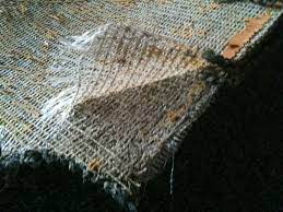 water damage carpet