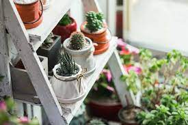 19 Indoor Gardening Gifts Perfect For