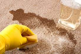 emergency carpet cleaning situations