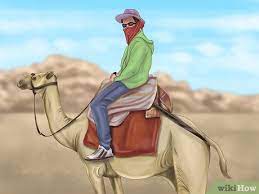 With a refreshing bath in the hose. How To Ride A Camel 12 Steps With Pictures Wikihow