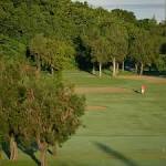 Banyan Tree Golf Course in Chatan, Okinawa, Japan | GolfPass