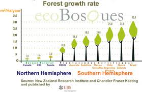 Ecoforests Teak Investment Forestry Investment In Teak And