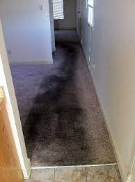transforming memphis homes carpet