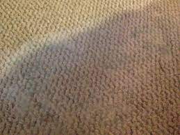 mold on bat carpet al house