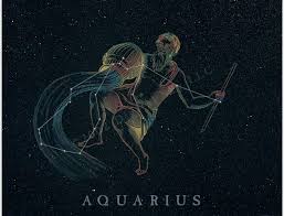Aquarius is the longest standing online marketplace for translation and localization projects. Aquarius The Unpredictable Magnificentonline Com