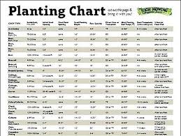 When To Plant Vegetables Chart Best Download And Share Our