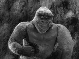 Image result for images of son of kong