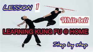 learning kung fu at home lesson 1