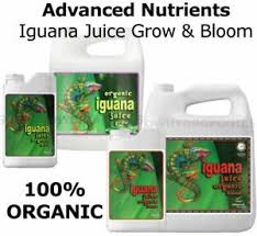 Details About Advanced Nutrients Iguana Juice Grow Bloom 1l 5l