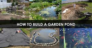 building water garden or fish pond
