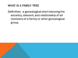 My Family Tree What Is A Family Tree Definition A