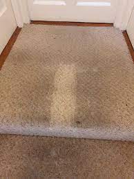 carpet cleaning dublin professional