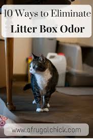 Litter Box Smell Solutions Litter Box