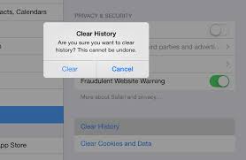 If you're just looking to get a better organized list, going with the first method will be enough. How To Delete Browsing History On Ipad