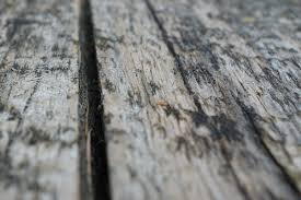 Composite deck care & cleaning guide dirt and debris. Rhino Hide How To Clean Your Composite Deck Easy Care And Cleaning