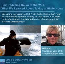 She made her debut as keiko under the label avex trax in may 2020. Reintroducing Keiko To The Wild The Free Willy Whale The Whale Sanctuary Project Back To Nature