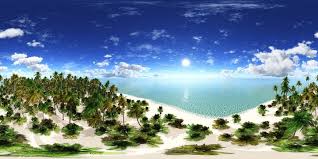 tropical beach with palm trees hdri