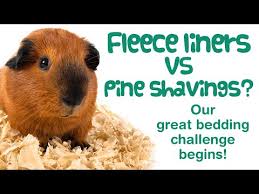 Fleece Liners For Guinea Pigs