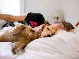 sleeping with dogs benefits for your
