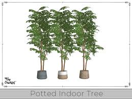 Plant Lover Potted Indoor Tree