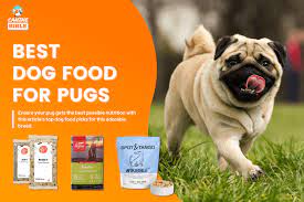best dog food for pugs 2023 vet