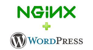 secure nginx configuration