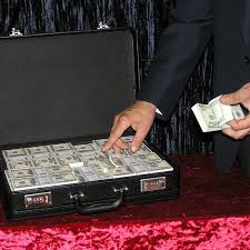 millionaire s suitcase pegani