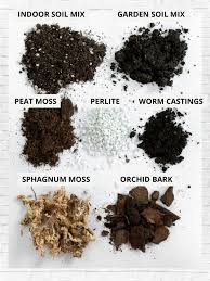 Soil 101 Your Guide To Cultivating The