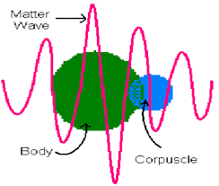 Matter Wave And Its Corpuscle