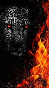 Fire lion, leopard, tigers, HD mobile ...