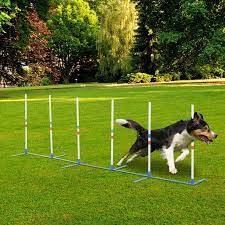pawhut adjule dog agility training