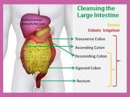 colon hydrotherapy benefits colonic
