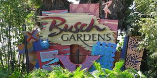 busch gardens trip