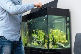 DIY Acrylic Aquarium - How to Build an Acrylic Fish Tank Aquarium Easily -  FAB Glass and Mirror gambar png