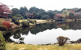 shinjuku gyoen national garden tokyo