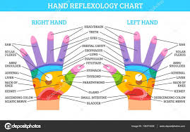 Reflexology Left Hand Hand Reflexology Chart Stock