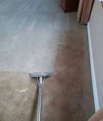 carpet steam cleaner cleaning