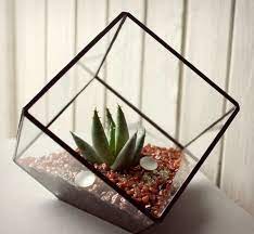 geometric glass terrarium terrarium